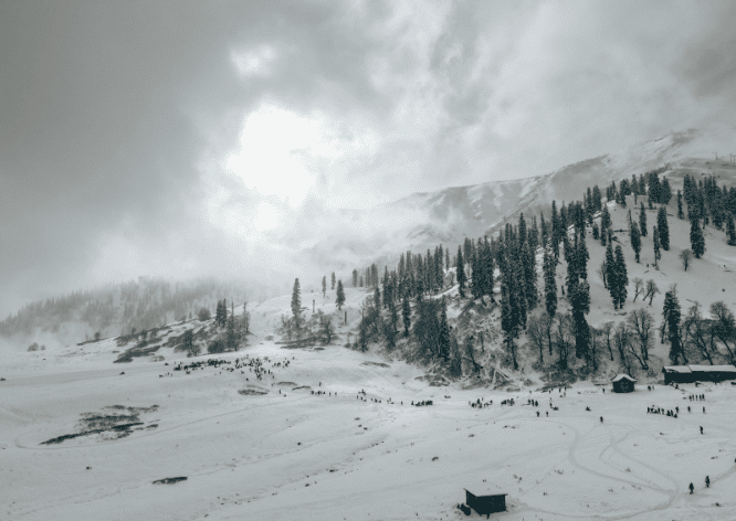 Honeymoon Package – Kashmir Tour