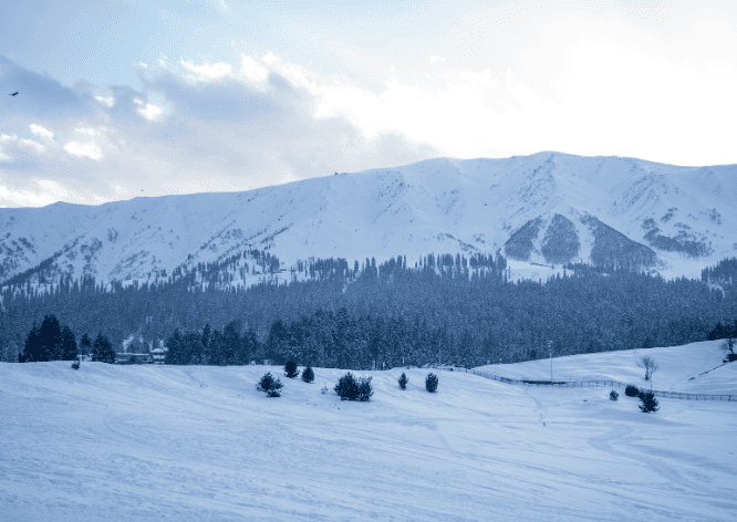 Skiing in Gulmarg – Winter Adventure Package