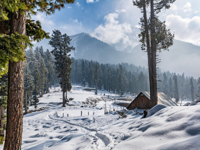 Experience Kashmir Through Curated