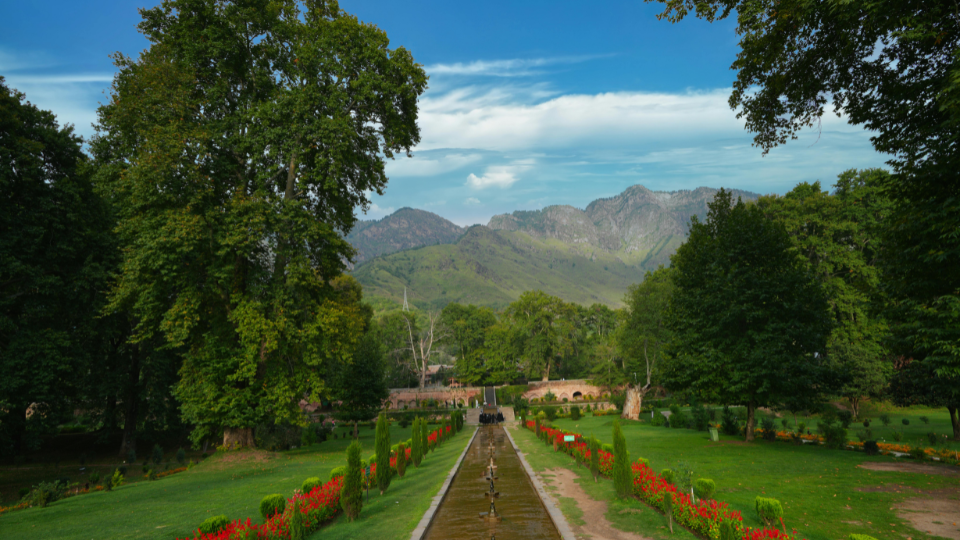 Experience Kashmir Through Curated image two